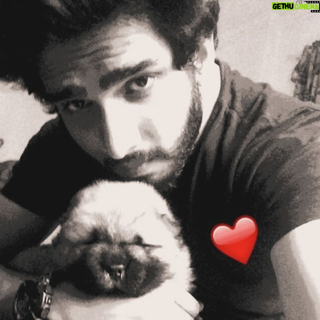 Amaal Mallik - 147.7K Likes - Dear @hihandsome08 my baby boy 😞
Ever since you came into our lives, you only showered us with unconditional love & brought us closer as a family…
You stayed up every single night till 4-5 AM, because you knew that’s when I’d get done with my recordings…
What has really broken me is the fact that I wasn’t with you when you needed me the most…
I was on stage performing when you took your last breath & I dunno why things had to go down this way, but I really wish I could hold your paw in those final moments & give you back the strength, hope & power you’d always give me, every single day, by just looking into my eyes…
I hope you can forgive me for that someday 🥺🙏🏻
You loved me like no other and I just can’t believe you’re gone.
We had just celebrated your birthday a few weeks ago and now all I have left with me is your memory.
I hope you’re in a better place my baby lion, I will really miss you and I just can’t stop crying.
Life can never be the same again for me.
Thank you for being such a wonderful little boy, an amazing baby to my parents, a wonderful little brother to me & Armaan.
I will see you soon enough my son but just not yet.
I pray that whenever I’m sent back; in every single lifetime I get to meet you and be given the chance to love you better than I could in this one & re-live those wonderful days again.
I never thought I’d lose you like this.
Goodbye my jaan 💔
#HandsomeMalik #RestInPower