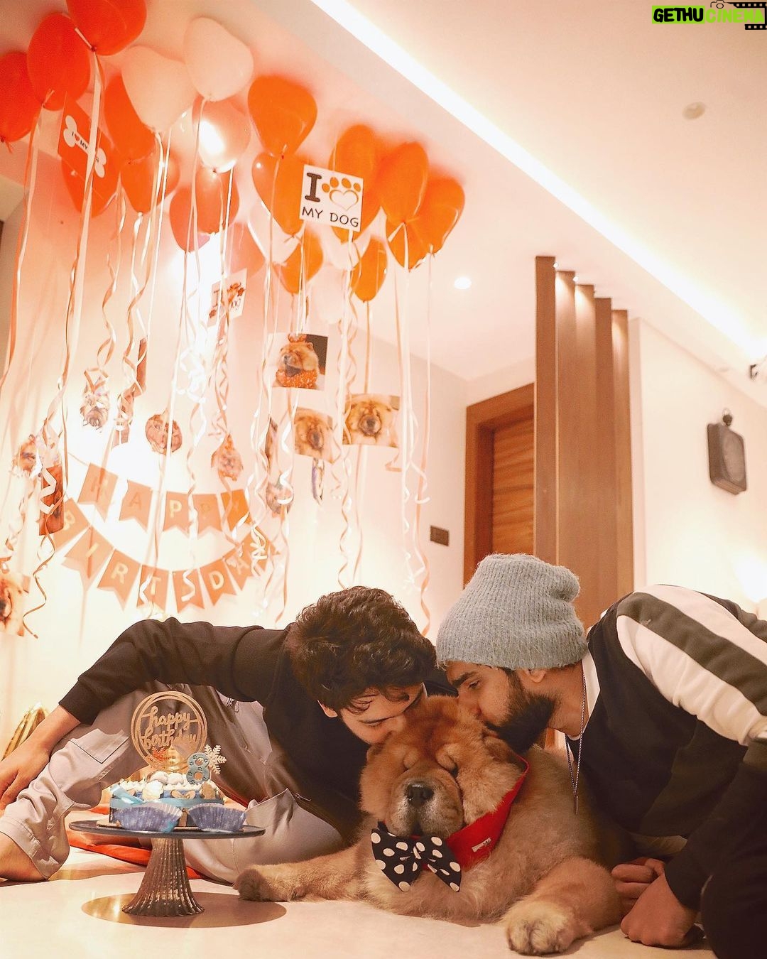 Amaal Mallik - 207.6K Likes - Our little boy is 8 years old now and still as grumpy, prideful, lazy and the most handsome boy ever 😘🦁
On days when @armaanmalik and I feel completely exhausted we find the strength to get up and work harder because we want the best for him.
You have loved us at every step and being covered all over in your hair is the best feeling ever…God bless you with good health and a long life.
A day of squishes and belly rubs will begin 🫠
Happy Birthday @hihandsome08 ♥️