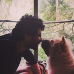Amaal Mallik Instagram - Dear @hihandsome08 my baby boy 😞 Ever since you came into our lives, you only showered us with unconditional love & brought us closer as a family… You stayed up every single night till 4-5 AM, because you knew that’s when I’d get done with my recordings… What has really broken me is the fact that I wasn’t with you when you needed me the most… I was on stage performing when you took your last breath & I dunno why things had to go down this way, but I really wish I could hold your paw in those final moments & give you back the strength, hope & power you’d always give me, every single day, by just looking into my eyes… I hope you can forgive me for that someday 🥺🙏🏻 You loved me like no other and I just can’t believe you’re gone. We had just celebrated your birthday a few weeks ago and now all I have left with me is your memory. I hope you’re in a better place my baby lion, I will really miss you and I just can’t stop crying. Life can never be the same again for me. Thank you for being such a wonderful little boy, an amazing baby to my parents, a wonderful little brother to me & Armaan. I will see you soon enough my son but just not yet. I pray that whenever I’m sent back; in every single lifetime I get to meet you and be given the chance to love you better than I could in this one & re-live those wonderful days again. I never thought I’d lose you like this. Goodbye my jaan 💔 #HandsomeMalik #RestInPower