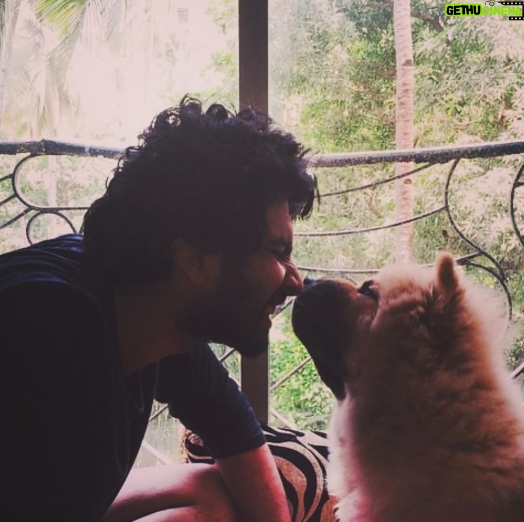 Amaal Mallik - 147.7K Likes - Dear @hihandsome08 my baby boy 😞
Ever since you came into our lives, you only showered us with unconditional love & brought us closer as a family…
You stayed up every single night till 4-5 AM, because you knew that’s when I’d get done with my recordings…
What has really broken me is the fact that I wasn’t with you when you needed me the most…
I was on stage performing when you took your last breath & I dunno why things had to go down this way, but I really wish I could hold your paw in those final moments & give you back the strength, hope & power you’d always give me, every single day, by just looking into my eyes…
I hope you can forgive me for that someday 🥺🙏🏻
You loved me like no other and I just can’t believe you’re gone.
We had just celebrated your birthday a few weeks ago and now all I have left with me is your memory.
I hope you’re in a better place my baby lion, I will really miss you and I just can’t stop crying.
Life can never be the same again for me.
Thank you for being such a wonderful little boy, an amazing baby to my parents, a wonderful little brother to me & Armaan.
I will see you soon enough my son but just not yet.
I pray that whenever I’m sent back; in every single lifetime I get to meet you and be given the chance to love you better than I could in this one & re-live those wonderful days again.
I never thought I’d lose you like this.
Goodbye my jaan 💔
#HandsomeMalik #RestInPower