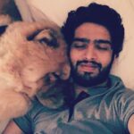 Amaal Mallik Instagram - Dear @hihandsome08 my baby boy 😞 Ever since you came into our lives, you only showered us with unconditional love & brought us closer as a family… You stayed up every single night till 4-5 AM, because you knew that’s when I’d get done with my recordings… What has really broken me is the fact that I wasn’t with you when you needed me the most… I was on stage performing when you took your last breath & I dunno why things had to go down this way, but I really wish I could hold your paw in those final moments & give you back the strength, hope & power you’d always give me, every single day, by just looking into my eyes… I hope you can forgive me for that someday 🥺🙏🏻 You loved me like no other and I just can’t believe you’re gone. We had just celebrated your birthday a few weeks ago and now all I have left with me is your memory. I hope you’re in a better place my baby lion, I will really miss you and I just can’t stop crying. Life can never be the same again for me. Thank you for being such a wonderful little boy, an amazing baby to my parents, a wonderful little brother to me & Armaan. I will see you soon enough my son but just not yet. I pray that whenever I’m sent back; in every single lifetime I get to meet you and be given the chance to love you better than I could in this one & re-live those wonderful days again. I never thought I’d lose you like this. Goodbye my jaan 💔 #HandsomeMalik #RestInPower
