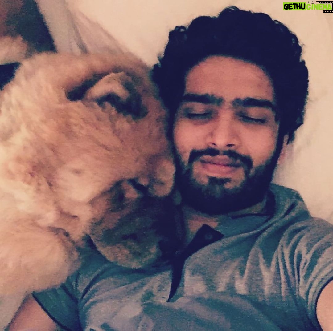 Amaal Mallik - 147.7K Likes - Dear @hihandsome08 my baby boy 😞
Ever since you came into our lives, you only showered us with unconditional love & brought us closer as a family…
You stayed up every single night till 4-5 AM, because you knew that’s when I’d get done with my recordings…
What has really broken me is the fact that I wasn’t with you when you needed me the most…
I was on stage performing when you took your last breath & I dunno why things had to go down this way, but I really wish I could hold your paw in those final moments & give you back the strength, hope & power you’d always give me, every single day, by just looking into my eyes…
I hope you can forgive me for that someday 🥺🙏🏻
You loved me like no other and I just can’t believe you’re gone.
We had just celebrated your birthday a few weeks ago and now all I have left with me is your memory.
I hope you’re in a better place my baby lion, I will really miss you and I just can’t stop crying.
Life can never be the same again for me.
Thank you for being such a wonderful little boy, an amazing baby to my parents, a wonderful little brother to me & Armaan.
I will see you soon enough my son but just not yet.
I pray that whenever I’m sent back; in every single lifetime I get to meet you and be given the chance to love you better than I could in this one & re-live those wonderful days again.
I never thought I’d lose you like this.
Goodbye my jaan 💔
#HandsomeMalik #RestInPower