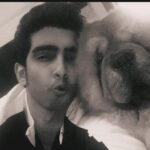 Amaal Mallik Instagram - Dear @hihandsome08 my baby boy 😞 Ever since you came into our lives, you only showered us with unconditional love & brought us closer as a family… You stayed up every single night till 4-5 AM, because you knew that’s when I’d get done with my recordings… What has really broken me is the fact that I wasn’t with you when you needed me the most… I was on stage performing when you took your last breath & I dunno why things had to go down this way, but I really wish I could hold your paw in those final moments & give you back the strength, hope & power you’d always give me, every single day, by just looking into my eyes… I hope you can forgive me for that someday 🥺🙏🏻 You loved me like no other and I just can’t believe you’re gone. We had just celebrated your birthday a few weeks ago and now all I have left with me is your memory. I hope you’re in a better place my baby lion, I will really miss you and I just can’t stop crying. Life can never be the same again for me. Thank you for being such a wonderful little boy, an amazing baby to my parents, a wonderful little brother to me & Armaan. I will see you soon enough my son but just not yet. I pray that whenever I’m sent back; in every single lifetime I get to meet you and be given the chance to love you better than I could in this one & re-live those wonderful days again. I never thought I’d lose you like this. Goodbye my jaan 💔 #HandsomeMalik #RestInPower