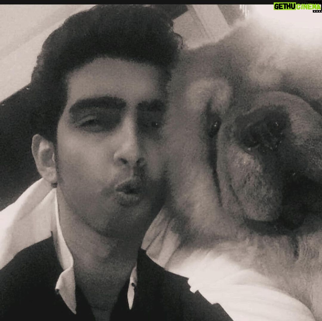 Amaal Mallik - 147.7K Likes - Dear @hihandsome08 my baby boy 😞
Ever since you came into our lives, you only showered us with unconditional love & brought us closer as a family…
You stayed up every single night till 4-5 AM, because you knew that’s when I’d get done with my recordings…
What has really broken me is the fact that I wasn’t with you when you needed me the most…
I was on stage performing when you took your last breath & I dunno why things had to go down this way, but I really wish I could hold your paw in those final moments & give you back the strength, hope & power you’d always give me, every single day, by just looking into my eyes…
I hope you can forgive me for that someday 🥺🙏🏻
You loved me like no other and I just can’t believe you’re gone.
We had just celebrated your birthday a few weeks ago and now all I have left with me is your memory.
I hope you’re in a better place my baby lion, I will really miss you and I just can’t stop crying.
Life can never be the same again for me.
Thank you for being such a wonderful little boy, an amazing baby to my parents, a wonderful little brother to me & Armaan.
I will see you soon enough my son but just not yet.
I pray that whenever I’m sent back; in every single lifetime I get to meet you and be given the chance to love you better than I could in this one & re-live those wonderful days again.
I never thought I’d lose you like this.
Goodbye my jaan 💔
#HandsomeMalik #RestInPower