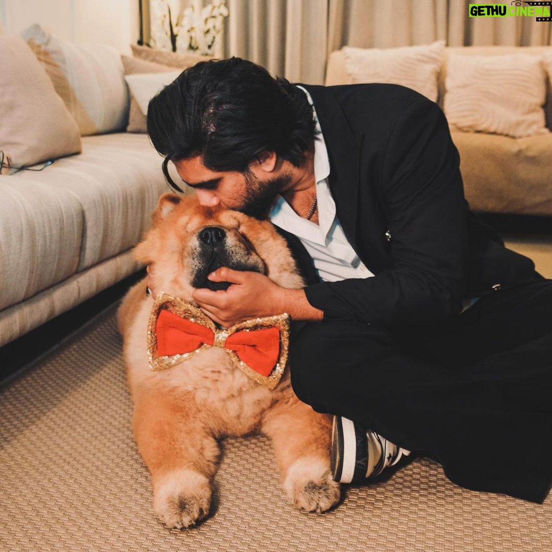 Amaal Mallik - 147.7K Likes - Dear @hihandsome08 my baby boy 😞
Ever since you came into our lives, you only showered us with unconditional love & brought us closer as a family…
You stayed up every single night till 4-5 AM, because you knew that’s when I’d get done with my recordings…
What has really broken me is the fact that I wasn’t with you when you needed me the most…
I was on stage performing when you took your last breath & I dunno why things had to go down this way, but I really wish I could hold your paw in those final moments & give you back the strength, hope & power you’d always give me, every single day, by just looking into my eyes…
I hope you can forgive me for that someday 🥺🙏🏻
You loved me like no other and I just can’t believe you’re gone.
We had just celebrated your birthday a few weeks ago and now all I have left with me is your memory.
I hope you’re in a better place my baby lion, I will really miss you and I just can’t stop crying.
Life can never be the same again for me.
Thank you for being such a wonderful little boy, an amazing baby to my parents, a wonderful little brother to me & Armaan.
I will see you soon enough my son but just not yet.
I pray that whenever I’m sent back; in every single lifetime I get to meet you and be given the chance to love you better than I could in this one & re-live those wonderful days again.
I never thought I’d lose you like this.
Goodbye my jaan 💔
#HandsomeMalik #RestInPower