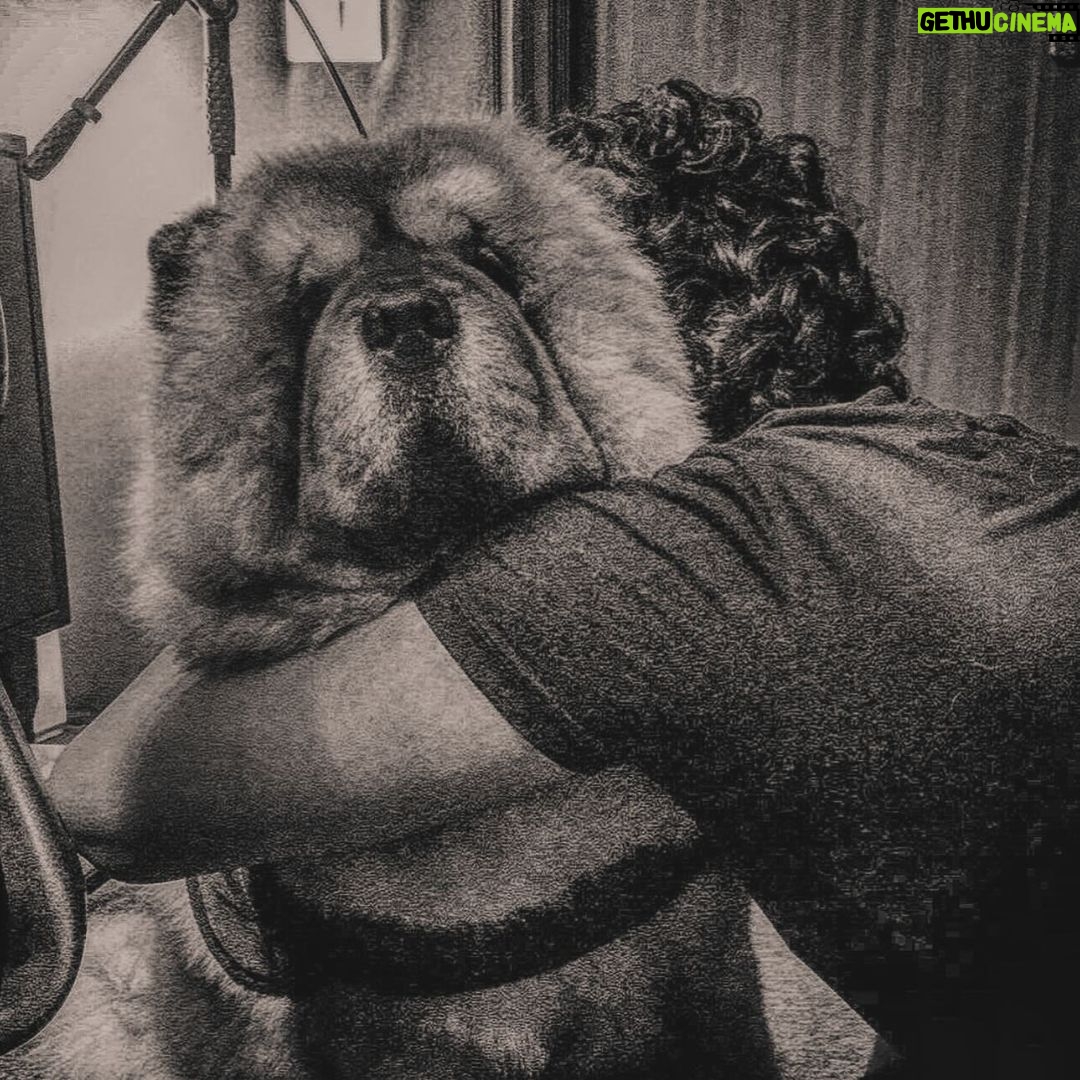 Amaal Mallik - 147.7K Likes - Dear @hihandsome08 my baby boy 😞
Ever since you came into our lives, you only showered us with unconditional love & brought us closer as a family…
You stayed up every single night till 4-5 AM, because you knew that’s when I’d get done with my recordings…
What has really broken me is the fact that I wasn’t with you when you needed me the most…
I was on stage performing when you took your last breath & I dunno why things had to go down this way, but I really wish I could hold your paw in those final moments & give you back the strength, hope & power you’d always give me, every single day, by just looking into my eyes…
I hope you can forgive me for that someday 🥺🙏🏻
You loved me like no other and I just can’t believe you’re gone.
We had just celebrated your birthday a few weeks ago and now all I have left with me is your memory.
I hope you’re in a better place my baby lion, I will really miss you and I just can’t stop crying.
Life can never be the same again for me.
Thank you for being such a wonderful little boy, an amazing baby to my parents, a wonderful little brother to me & Armaan.
I will see you soon enough my son but just not yet.
I pray that whenever I’m sent back; in every single lifetime I get to meet you and be given the chance to love you better than I could in this one & re-live those wonderful days again.
I never thought I’d lose you like this.
Goodbye my jaan 💔
#HandsomeMalik #RestInPower