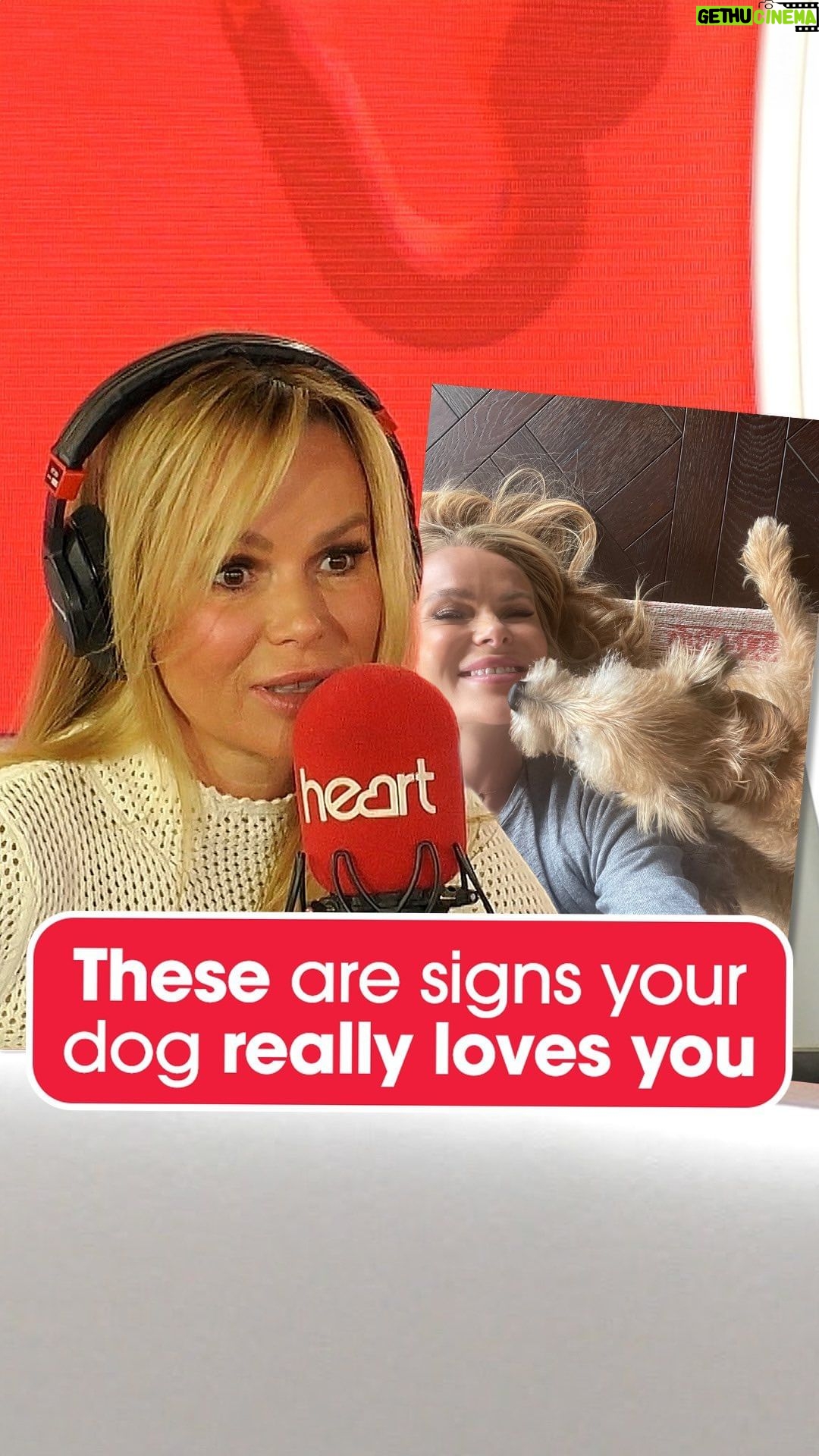 Amanda Holden Instagram - These are signs your dog REALLY loves you ππΆβ€οΈ