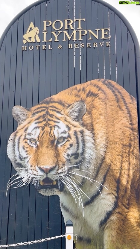 Amanda Holden Instagram - Had a wonderful stay here with my family this wkd: honestly the best experience ever! Rooms and roommates 🦁amazing/ food fabulous …https://www.aspinallfoundation.org/