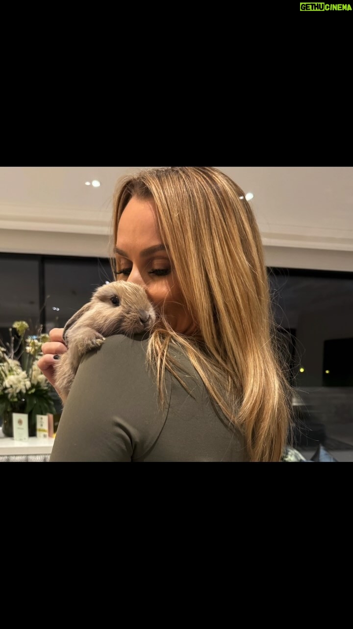 Amanda Holden Instagram - We have a new addition to our fur family #honeybunny … we will be slowly bonding her with Peter having sadly lost our other 🐰. Rabbits are social animals and love/need company x
