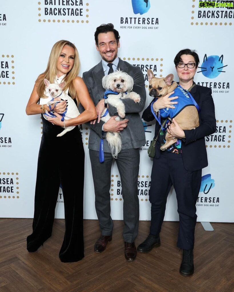 Amanda Holden Instagram - When you look like the pooches you picked up! @battersea @chattyman 💙 📸 @mikemarslandphotos for Battersea Dogs & Cats Home