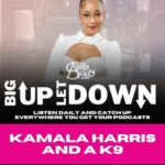 Amanda Seales Instagram – #BigUpLetDown: The #BigUp goes to Vice President Kamala Harris’s personal aide. Today’s #LetDown goes to the organizers that gave Kyle Rittenhouse an emotional support dog. Miss a part of the show? Catch up on #TheAmandaSealesShow wherever you get your podcasts.