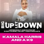 Amanda Seales Instagram - #BigUpLetDown: The #BigUp goes to Vice President Kamala Harris’s personal aide. Today’s #LetDown goes to the organizers that gave Kyle Rittenhouse an emotional support dog. Miss a part of the show? Catch up on #TheAmandaSealesShow wherever you get your podcasts.