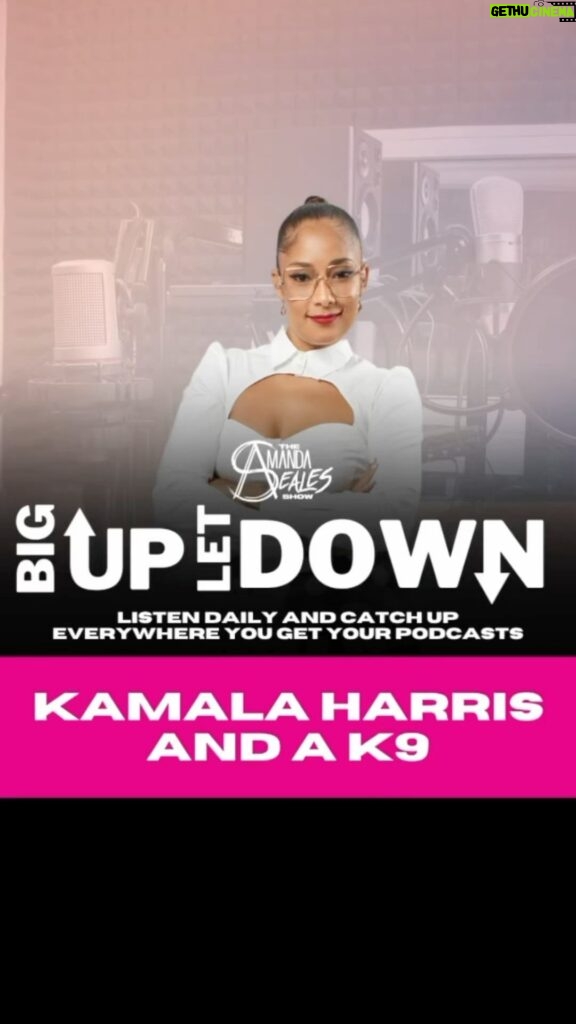 Amanda Seales Instagram - #BigUpLetDown: The #BigUp goes to Vice President Kamala Harris’s personal aide. Today’s #LetDown goes to the organizers that gave Kyle Rittenhouse an emotional support dog. Miss a part of the show? Catch up on #TheAmandaSealesShow wherever you get your podcasts.