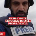 Amanda Seales Instagram - Israel destroyed a cemetery in Gaza and claimed that there were Hamas tunnels underneath them. CNN went to investigate, but the Israelis refused to allow CNN to take a look. Through geolocation, CNN later determined that the tunnel entrances were clearly outside the cemetery... Israeli military: We had to raze the cemetery because of a Khamas tunnel CNN: Can we see the hole proving that? Any evidence? Israeli military: nope, you’ll fall inside. It’s not safe. Reporting by @jdiamond1_