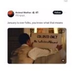 Amanda Seales Instagram - 1: @mansourshouman7 "Prime Minister @JustinTrudeau, when asked by a @CBCNews reporter about Mansour Shouman, January 31, 2024: "We are actively engaged on this, we are actively working on this. We're talking to everyone" As of today, Mansour’s family have yet to receive any updates or request for information We his team, have not worked directly with any government officials in a formal manner If the Canadian government is taking “this one” very seriously where is the engagement? Where is the collaboration?" 2: @pomegranates "Yemen got the moves! This could have some catastrophic consequences I pray they understand this is a threat of an economic sanction just like they themselves impose Let’s see I guess. Your move maestro" 3: Is "The Cameron declaration" on the horizon? 4: this dangerous nut case 😒 5: @priscillaluna__ @btnewsroom 🇵🇸 "BREAKING: After months of protest, Chicago becomes the largest city in the country to call for a ceasefire after passing a city council resolution. City council voted 23-23 on the resolution and mayor Brandon Johnson broke the tie in favor of ceasefire." 6: @middleeasteye "During a House Foreign Affairs Committee hearing aimed at questioning and potentially defunding UNRWA, the primary aid organisation for Palestinians in Gaza, five activists from Codepink were arrested for disruption. The arrests occurred against the backdrop of international calls for Israel to ensure uninterrupted aid to Gaza, despite allegations against UNRWA staff. Advocates argue that defunding UNRWA threatens the survival of Palestinian civilians amidst ongoing conflict." 7: don't siesta on España! 8: our Lama being intrvw for BBC News ❤️🥹 9: ANTISEMITISM ACCUSATIONTAKES BACKSIES?? PUBLICLY??!? TO A PALESTINIAN SCHOLAR???????? I thought we'd get a season 8 redo of GOT before I saw that! 10: ✊🏽❤️