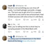Amanda Seales Instagram - It’s been 140+ hours since @columbia student @itslaylas__ was sprayed with Skunk on campus. “Skunk is a malodorant, non-lethal weapon used for crowd control by the Israel Defense Forces (IDF).” 🚨: “if y’all could pls contact your elected officials (especially in nyc) about columbia students being attacked with chemical weapons, i would rlly appreciate it.” - @itslaylas__ _ _ _ tweet: @Crypt_phantom17
