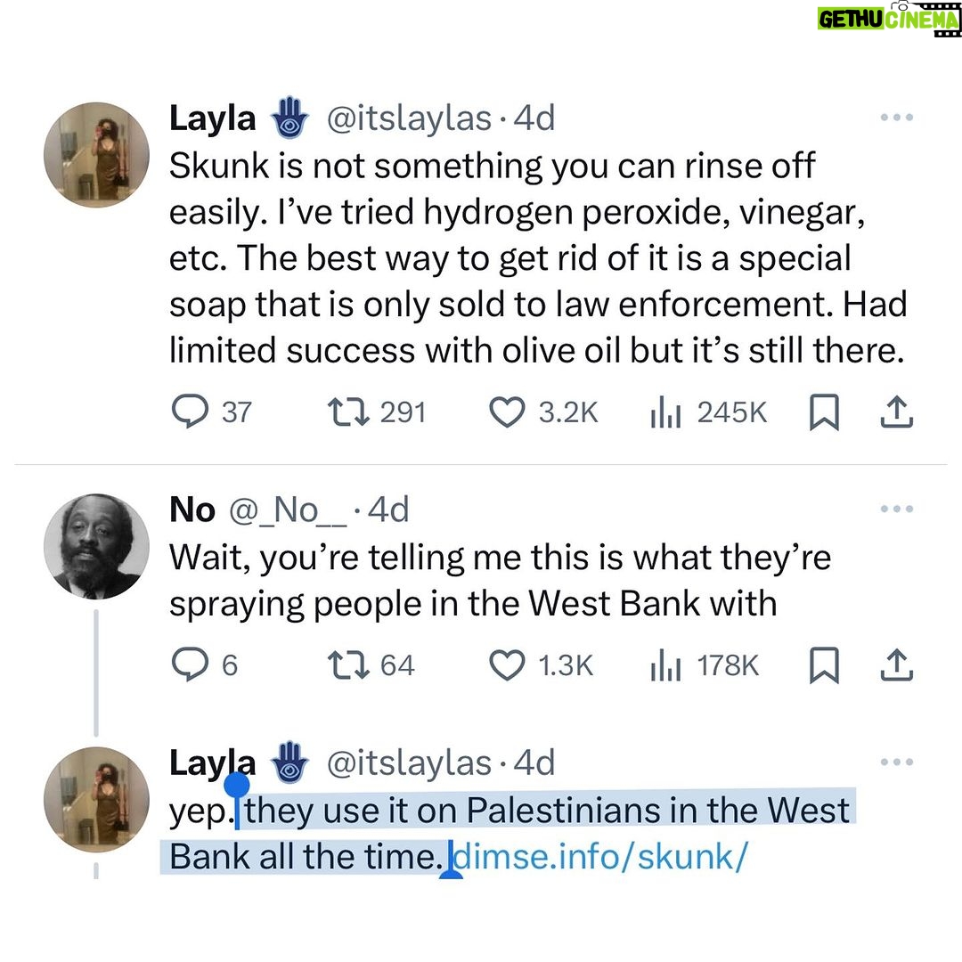 Amanda Seales Instagram - It’s been 140+ hours since @columbia student @itslaylas__ was sprayed with Skunk on campus. “Skunk is a malodorant, non-lethal weapon used for crowd control by the Israel Defense Forces (IDF).” 🚨: “if y’all could pls contact your elected officials (especially in nyc) about columbia students being attacked with chemical weapons, i would rlly appreciate it.” - @itslaylas__ _ _ _ tweet: @Crypt_phantom17