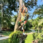 Amanda Seales Instagram - @kaanabelize is a space of natural beauty that reminds you how necessary it is to get away, quiet the noise, and listen to the lullaby of the leaves🌳 #KaanaBelize, #xoBelize #ad