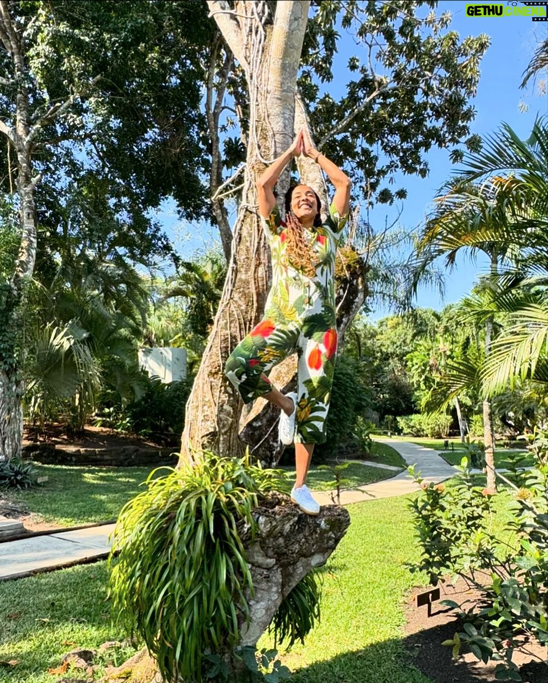 Amanda Seales Instagram - @kaanabelize is a space of natural beauty that reminds you how necessary it is to get away, quiet the noise, and listen to the lullaby of the leaves🌳 #KaanaBelize, #xoBelize #ad