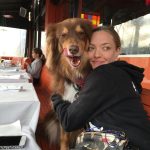 Amanda Seyfried Instagram - #tbt 🧡