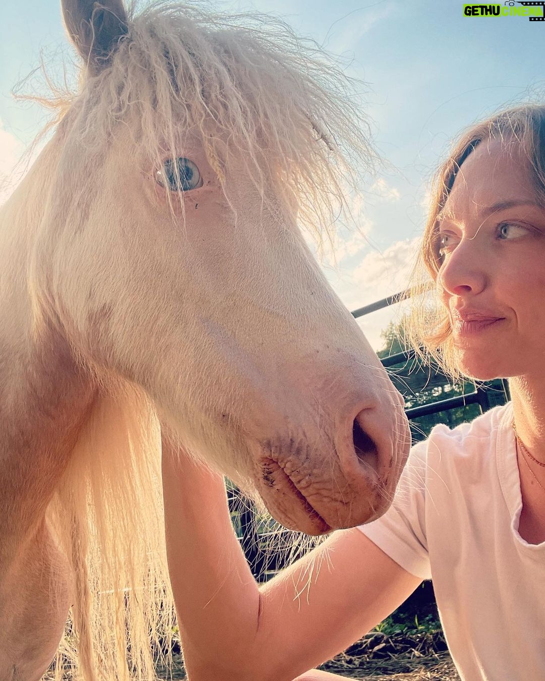 Amanda Seyfried Instagram - Jeanie/Henny/Herman/Finnydog