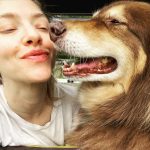 Amanda Seyfried Instagram - Can’t help it