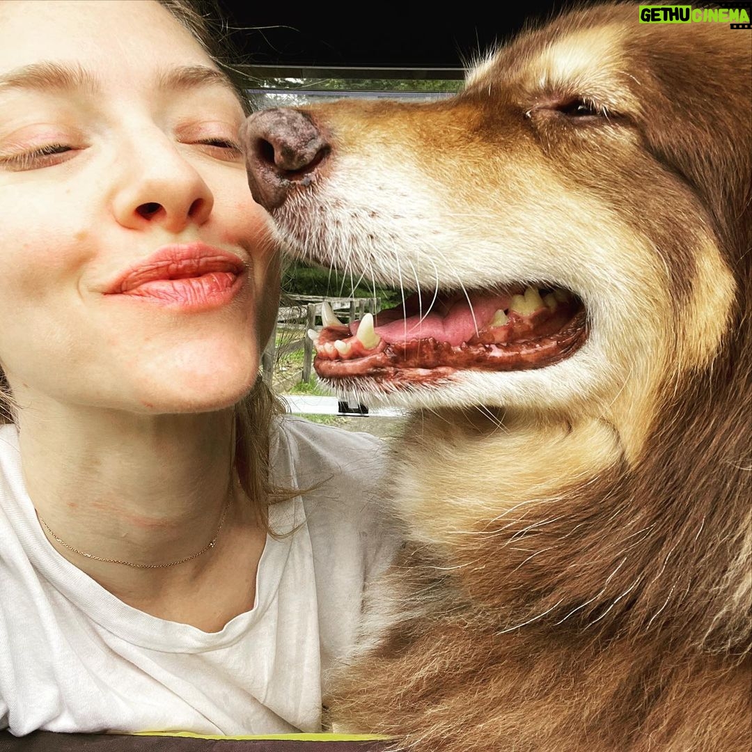 Amanda Seyfried Instagram - Can’t help it