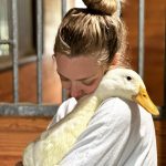 Amanda Seyfried Instagram - 🦢