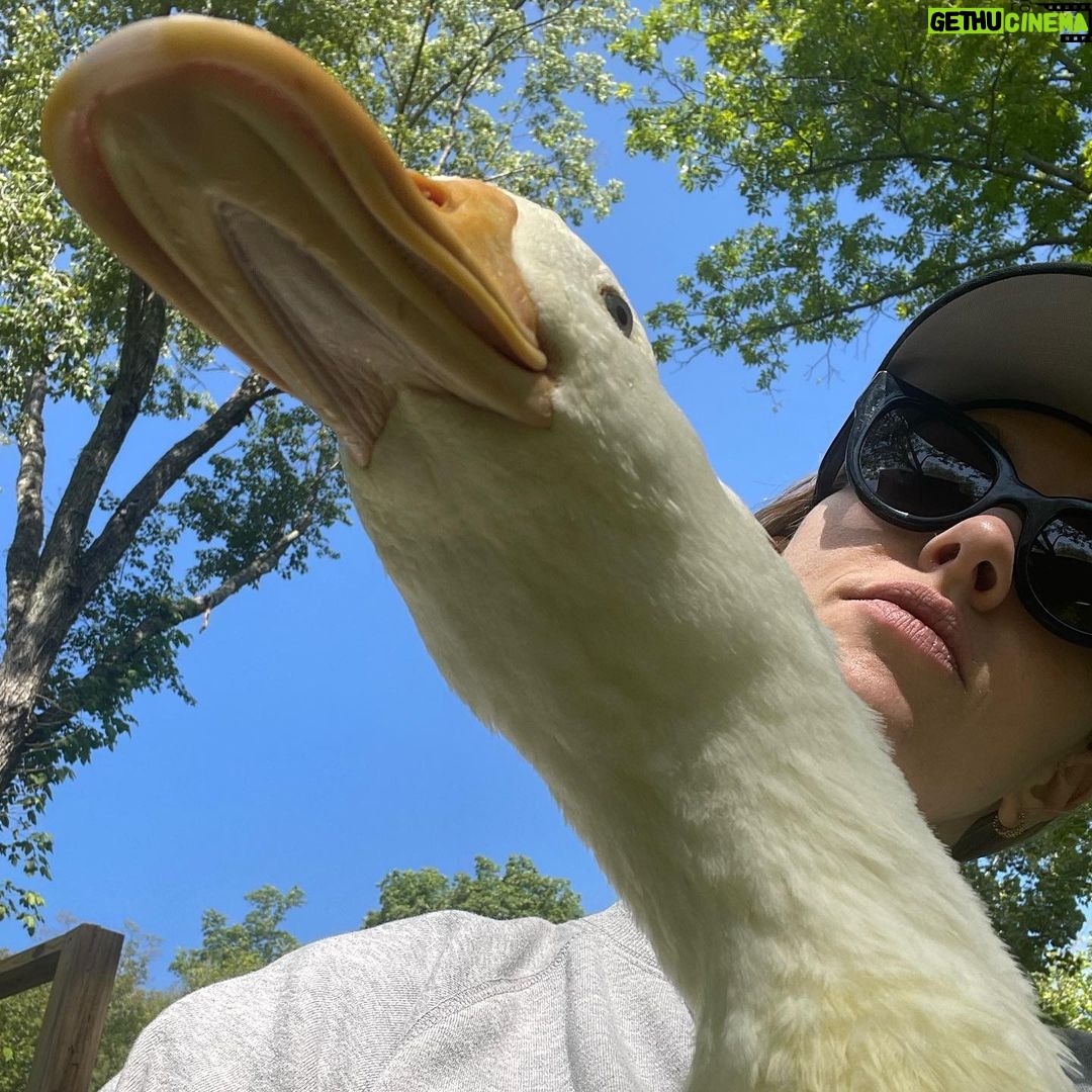 Amanda Seyfried Instagram - Bird, bird, bird and a surprise Clifford song