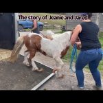 Amanda Seyfried Instagram - This is a nice story about a nice pair of new friends.