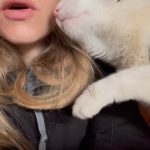 Amanda Seyfried Instagram - It’s been a long week. Here’s a classic Bert video. #fbf 🐾
