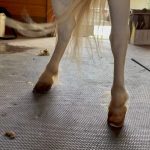 Amanda Seyfried Instagram - 👣🐾