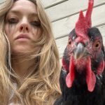 Amanda Seyfried Instagram - Bird, bird, bird and a surprise Clifford song