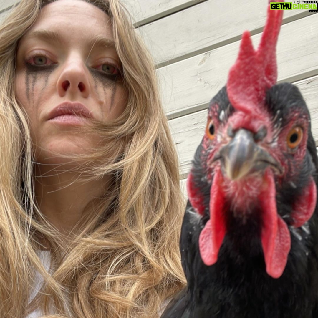 Amanda Seyfried Instagram - Bird, bird, bird and a surprise Clifford song