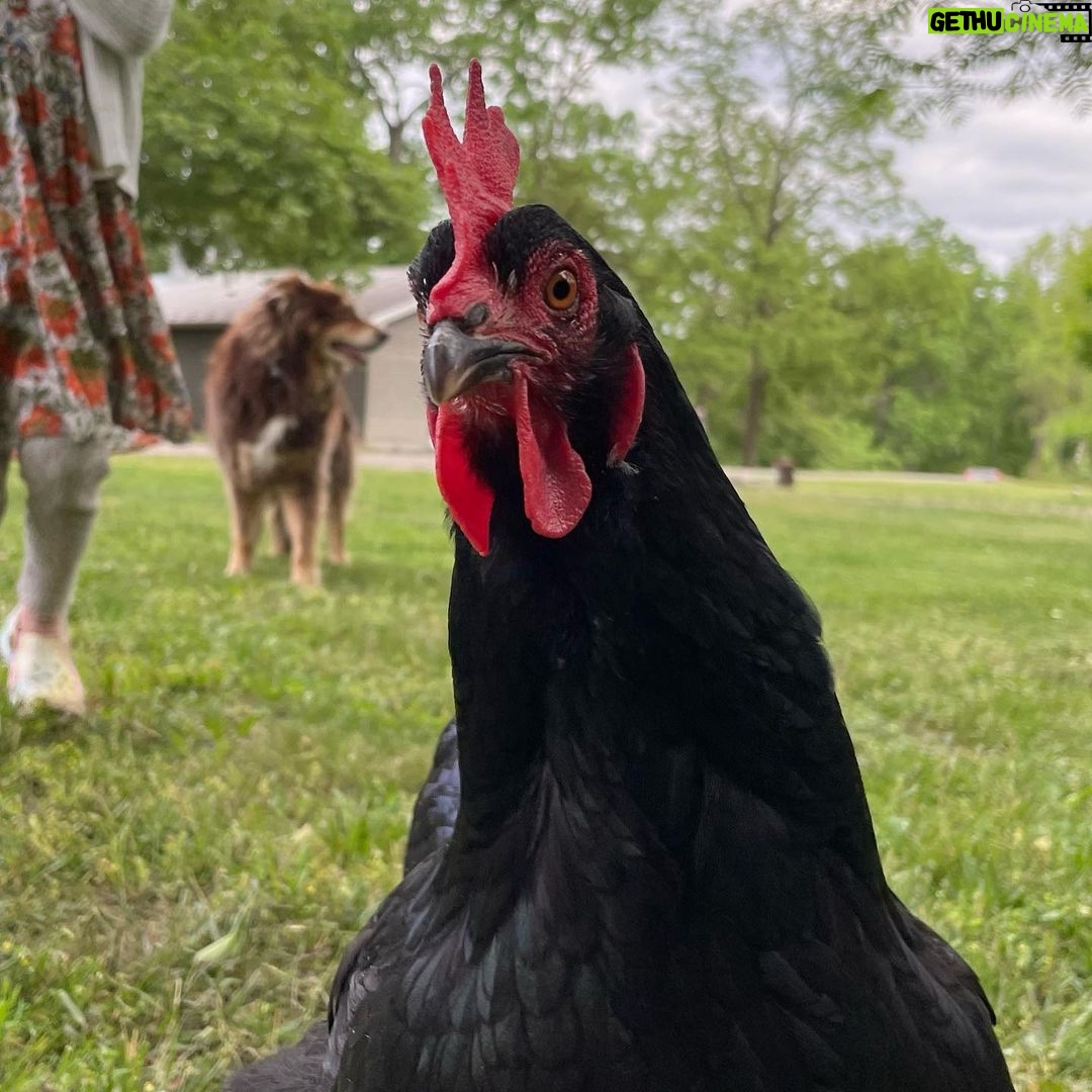 Amanda Seyfried Instagram - Bird, bird, bird and a surprise Clifford song