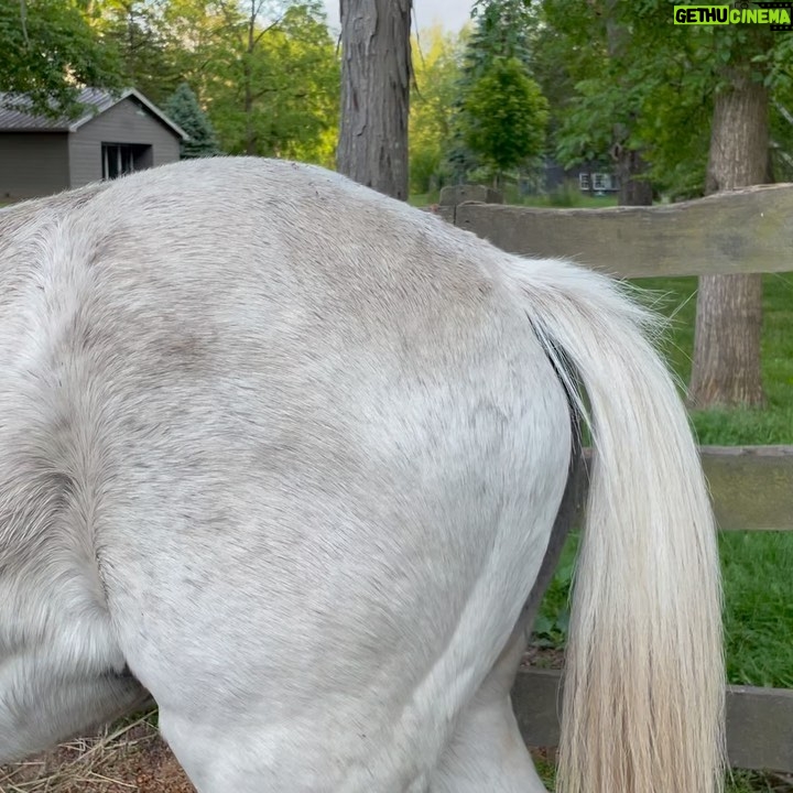 Amanda Seyfried Instagram - Bird, bird, bird and a surprise Clifford song