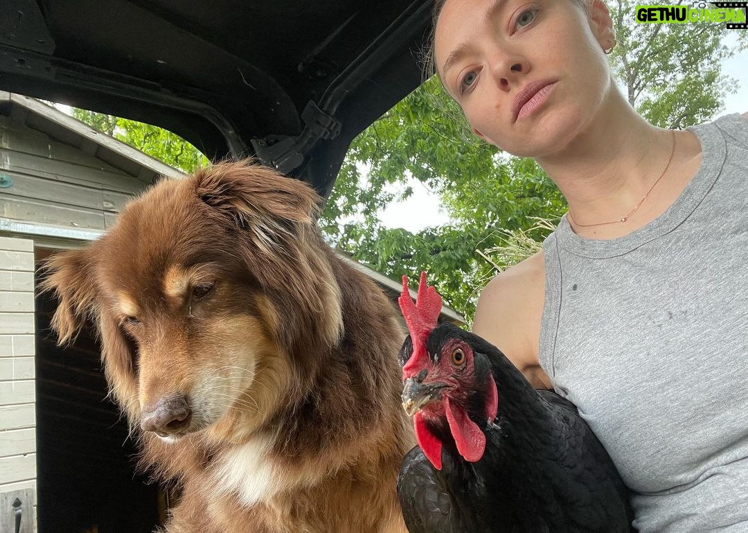 Amanda Seyfried Instagram - TGIF with friends