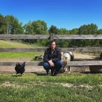 Amanda Seyfried Instagram - 🌧️🐓🌞