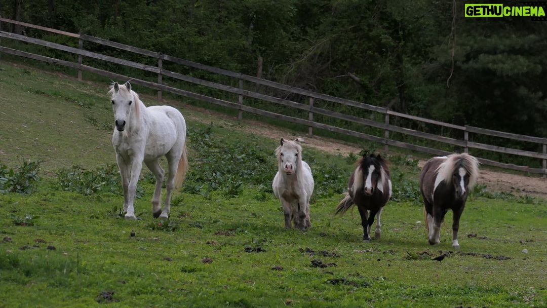 Amanda Seyfried Instagram - Farm at dusk