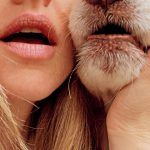 Amanda Seyfried Instagram – twins-sugar-twins-nighttime Chip- Cliff snackinโ-Herman snackinโ-donations-ducks in a row-cookie season-cashmere