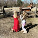 Amanda Seyfried Instagram - #spring