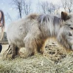 Amanda Seyfried Instagram -