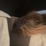 Amanda Seyfried Instagram - the everywhereman #tailslate