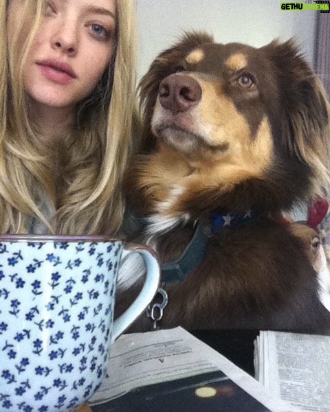 Amanda Seyfried Instagram - Profile pic circa 2011