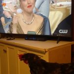 Amanda Seyfried Instagram - Kitchen chicken tunes in 🏆