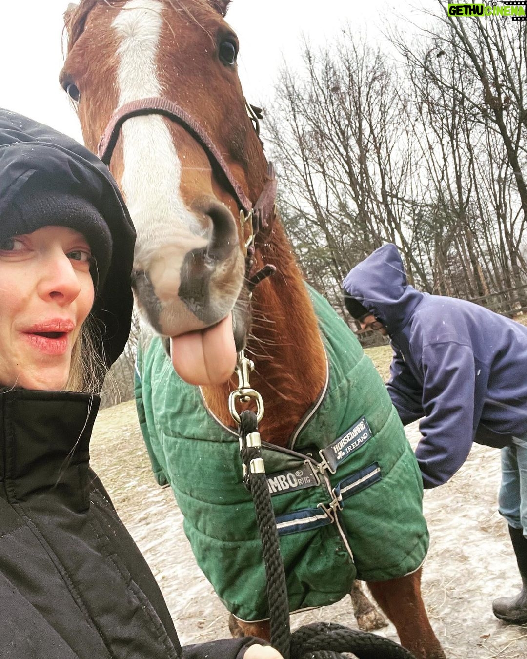 Amanda Seyfried Instagram - Superflood/Superfreeze
