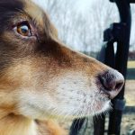 Amanda Seyfried Instagram -