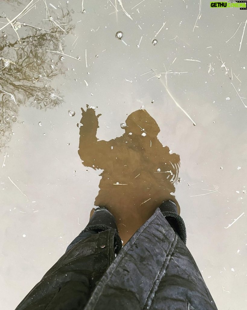 Amanda Seyfried Instagram - Superflood/Superfreeze