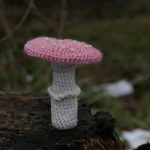 Amanda Seyfried Instagram - The mushrooms