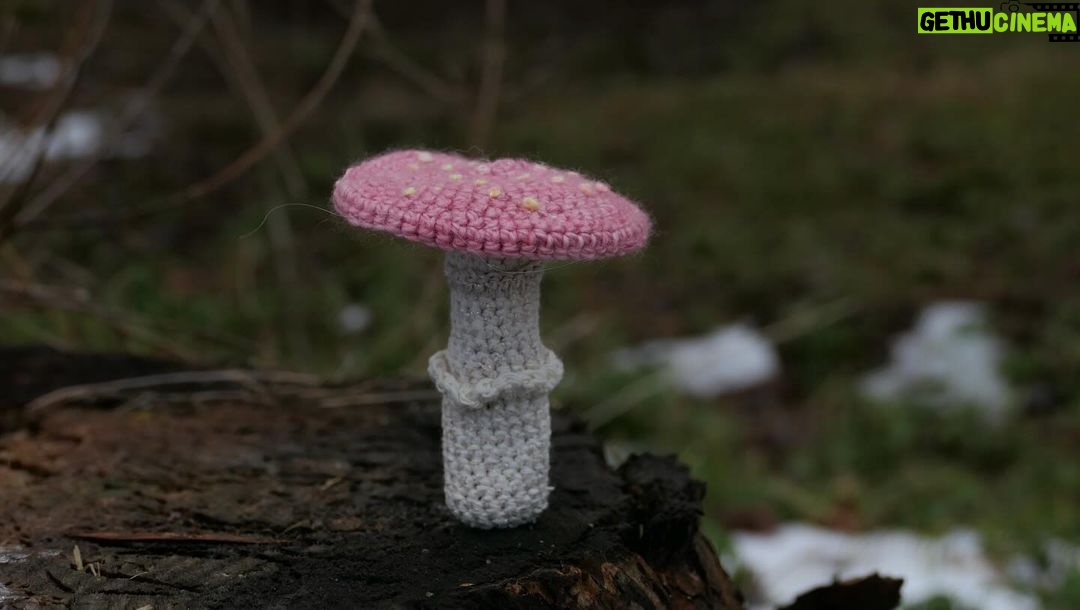 Amanda Seyfried Instagram - The mushrooms